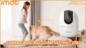 ung-dung-camera-imou-a42-trong-viec-giam-sat-thu-cung-0