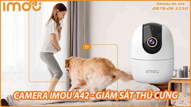 ung-dung-camera-imou-a42-trong-viec-giam-sat-thu-cung-0