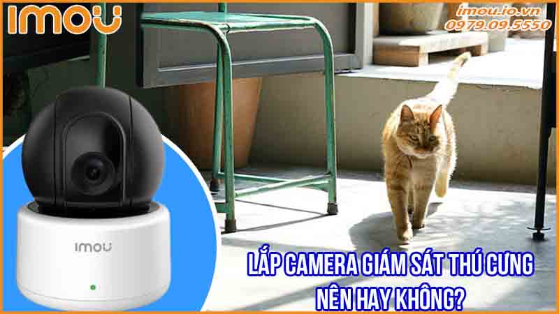 ung-dung-camera-imou-ipc-a22p-trong-viec-giam-sat-dong-vat-canh-0