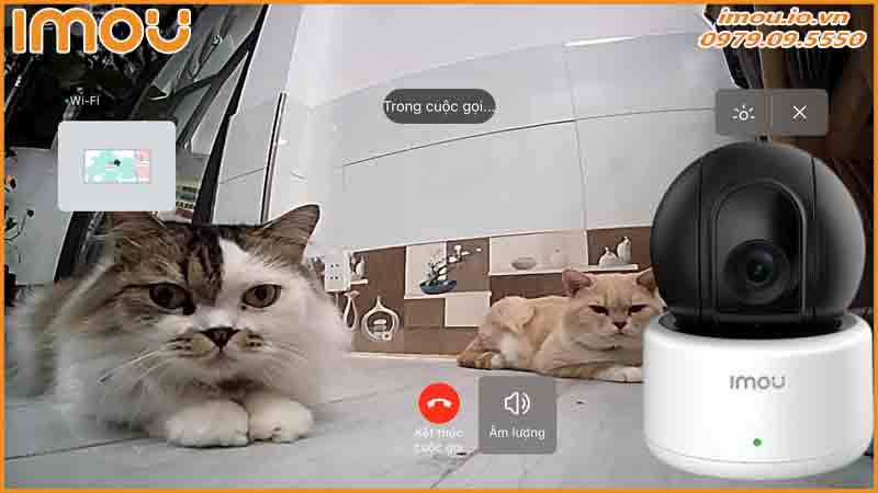 theo-doi-vat-nuoi-trong-nha-voi-camera-imou-ipc-a22p-nhung-dieu-can-biet-0