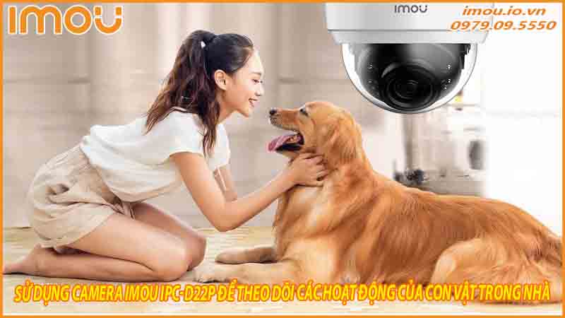 su-dung-camera-imou-ipc-d22p-de-theo-doi-cac-hoat-dong-cua-con-vat-trong-nha-0