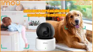 camera-imou-ipc-a22p-va-kha-nang-giam-sat-theo-doi-dong-vat-va-con-cai-tai-nha-0