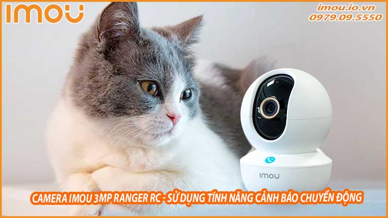 cach-tan-dung-camera-imou-3mp-ranger-rc-de-theo-doi-vat-nuoi-trong-nha-0