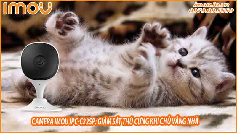 camera-imou-ipc-c22sp-giup-kiem-tra-an-ninh-truoc-khi-ra-khoi-nha-1
