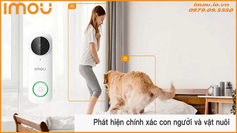 Imou DB61i có nhận diện người hay không?