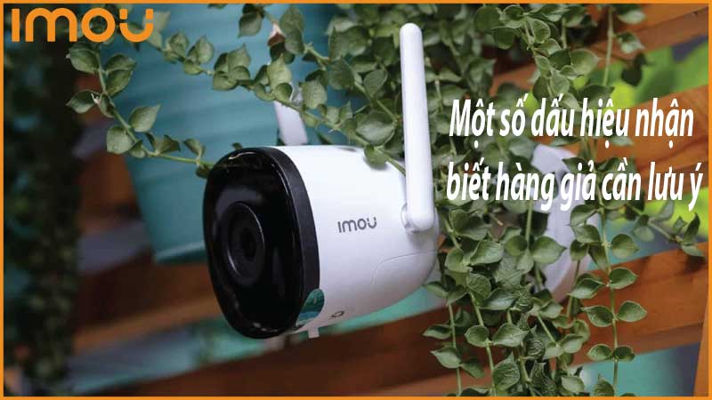 cach-kiem-tra-camera-imou-chinh-hang-1