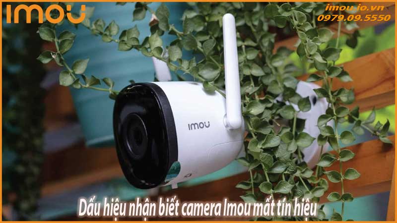 camera-imou-bi-mat-tin-hieu-dau-hieu-nhan-biet-va-huong-khac-phuc-1