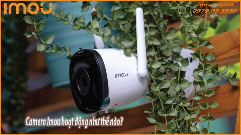 camera-imou-co-the-hoat-dong-khi-mat-dien-khong-1