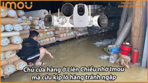 chu-cua-hang-o-lien-chieu-nho-imou-ma-cuu-kip-lo-hang-tranh-ngap