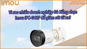 vi-sao-nhieu-doanh-nghiep-da-nang-chon-imou-ipc-g42p-de-giam-sat-tu-xa