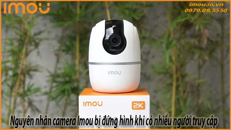 camera-imou-bi-dung-hinh-khi-co-nhieu-nguoi-truy-cap-1